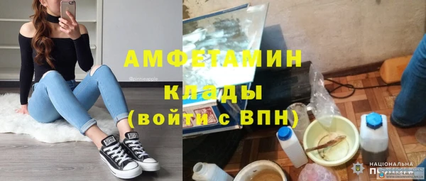 прущие грибы Абаза