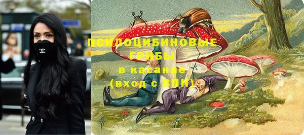 прущие грибы Абаза