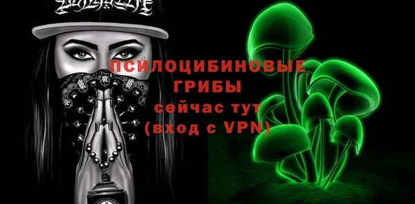 амф Абинск