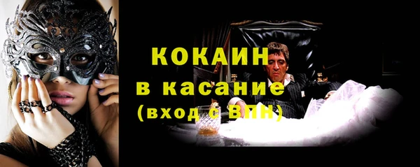 прущие грибы Абаза