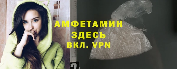 прущие грибы Абаза