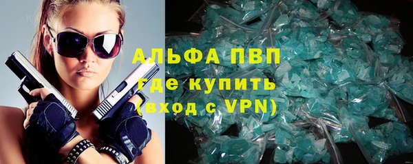 прущие грибы Абаза