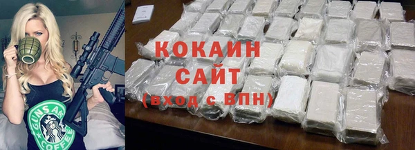 прущие грибы Абаза