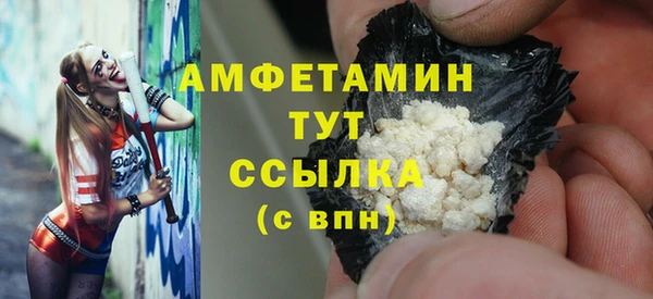 прущие грибы Абаза