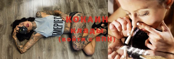 прущие грибы Абаза