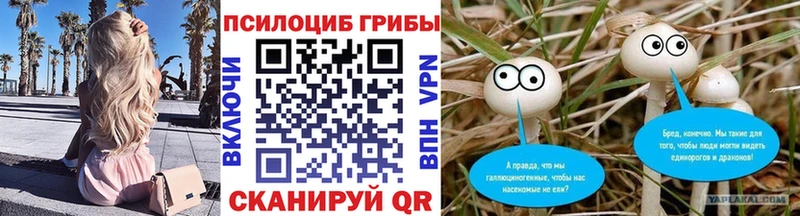 купить   Тырныауз  omg рабочий сайт  Псилоцибиновые грибы Magic Shrooms 